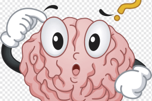 Comparativa de Cursos de Marketing de Afiliados Vs Otros Negocios de Moda.